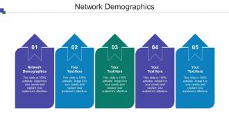 Network Demographics Ppt Powerpoint Presentation Ideas Cpb
