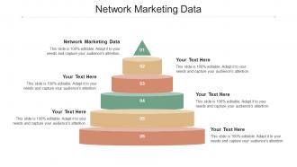 Network Marketing Data Ppt Powerpoint Presentation Model Infographics Cpb