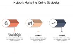 Network marketing online strategies ppt powerpoint presentation professional sample cpb