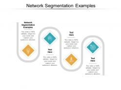 Network segmentation examples ppt powerpoint presentation gallery slide download cpb