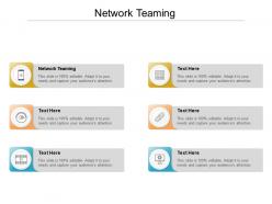 Network teaming ppt powerpoint presentation ideas graphic images cpb