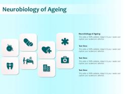 Neurobiology of ageing ppt powerpoint presentation outline outfit