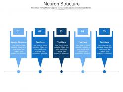 Neuron structure ppt powerpoint presentation file guidelines cpb