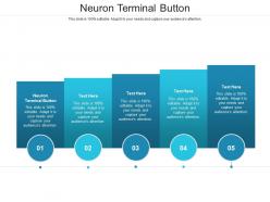 Neuron terminal button ppt powerpoint presentation infographic template diagrams cpb
