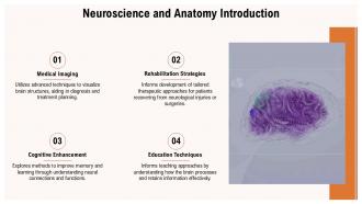 Neuroscience And Anatomy PPT Template ACP Interactive Impactful