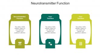 Neurotransmitter function ppt powerpoint presentation icon professional cpb