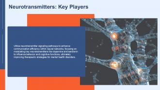 Neurotransmitters Key Players Synaptic Mechanism PPT Mockup ACP