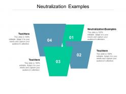 Neutralization examples ppt powerpoint presentation infographic template slides cpb