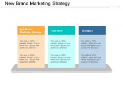 New brand marketing strategy ppt powerpoint presentation layouts guidelines cpb