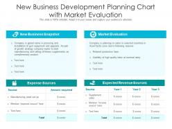 New business development planning chart with market evaluation