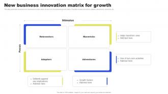 New Business Innovation Matrix For Growth