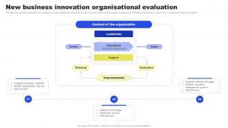 New Business Innovation Organisational Evaluation