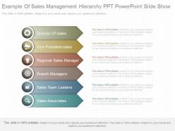 New example of sales management hierarchy ppt powerpoint slide show