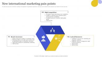 New International Marketing Pain Points