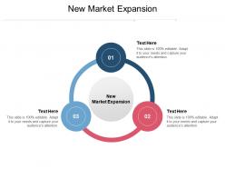 New market expansion ppt powerpoint presentation outline show cpb