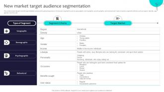 New Market Target Audience Segmentation Globalization Strategy To Expand Strategt SS V
