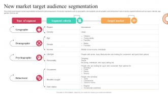 New Market Target Audience Segmentation Worldwide Approach Strategy SS V