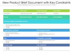 New product brief document with key constraints