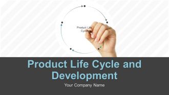 New product development and life cycle strategies process