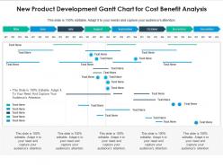 New product development gantt chart for cost benefit analysis