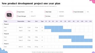 New Product Development Project One Year Plan