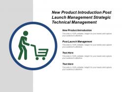 New product introduction post launch management strategic technical management