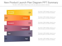 New product launch plan diagram ppt summary