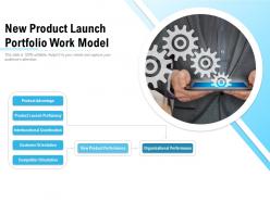 New product launch portfolio work model