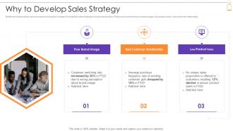 New Product Sales Strategy And Marketing Plan Why To Develop Sales Strategy