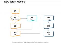 New target markets ppt powerpoint presentation file aids cpb
