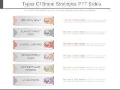New Types Of Brand Strategies Ppt Slides