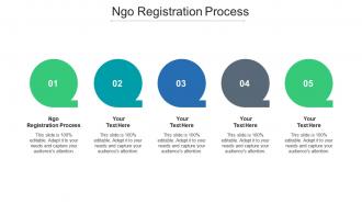 Ngo registration process ppt powerpoint presentation icon file formats cpb