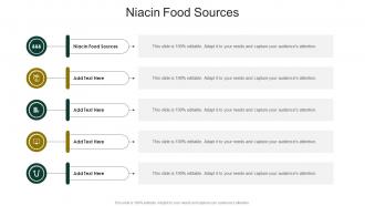 Niacin Food Sources In Powerpoint And Google Slides Cpb