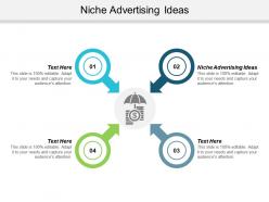 Niche advertising ideas ppt powerpoint presentation icon design ideas cpb