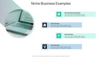 Niche Business Examples In Powerpoint And Google Slides Cpb