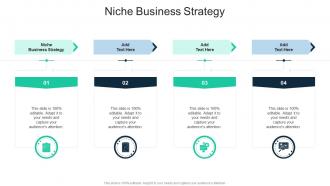 Niche Business Strategy In Powerpoint And Google Slides Cpb