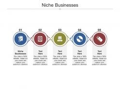 Niche businesses ppt powerpoint presentation file example introduction cpb