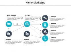 Niche marketing ppt powerpoint presentation file objects cpb