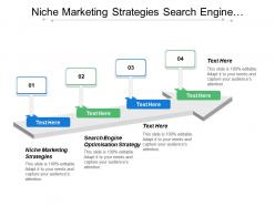 Niche marketing strategies search engine optimisation strategy e marketing strategies cpb