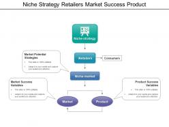 Niche strategy retailers market success product
