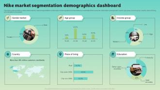 Nike Market Segmentation Demographics Dashboard Compatible Professional