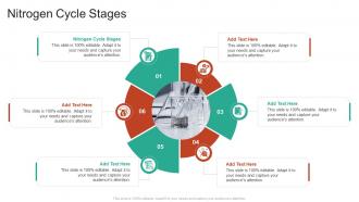 Nitrogen Cycle Stages In Ppt Powerpoint Presentation Slide Templates ...