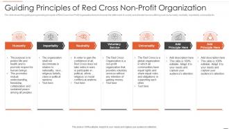 Non business entity strategic planning models guiding principles of red cross non profit organization