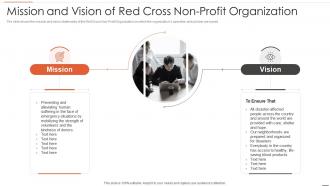Non business entity strategic planning models mission and vision of red cross non profit organization