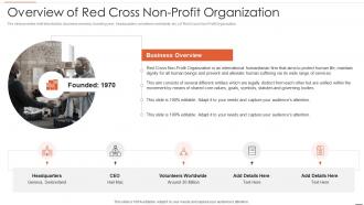 Non business entity strategic planning models overview of red cross non profit organization
