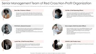Non business entity strategic planning models senior management team red cross profit organization