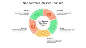 Non current liabilities features ppt powerpoint presentation pictures shapes cpb