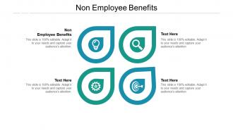 Non employee benefits ppt powerpoint presentation infographic template structure cpb