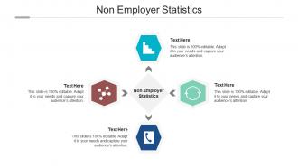Non employer statistics ppt powerpoint presentation gallery display cpb