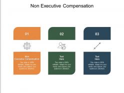 Non executive compensation ppt powerpoint presentation inspiration pictures cpb